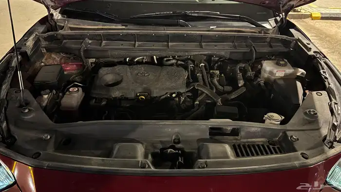 هايلاندر للبيع أو للتقبيل 19