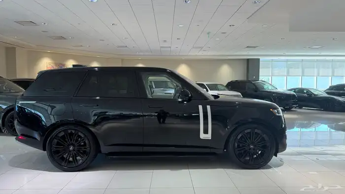 رنج روفر (اوتوبيوغرفي) 13