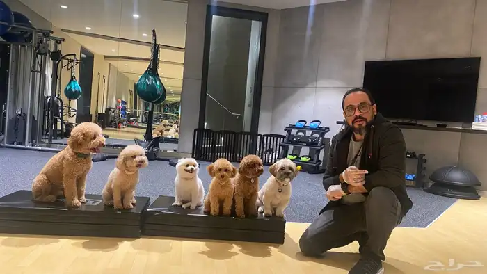 مدرب كلاب محترف بالرياض 2