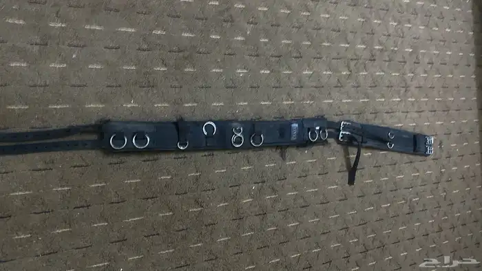 حزام عسافه للخيل نظيف 1