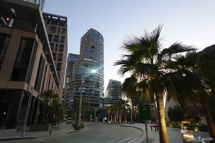 كاميرا ديجتال سوني 3