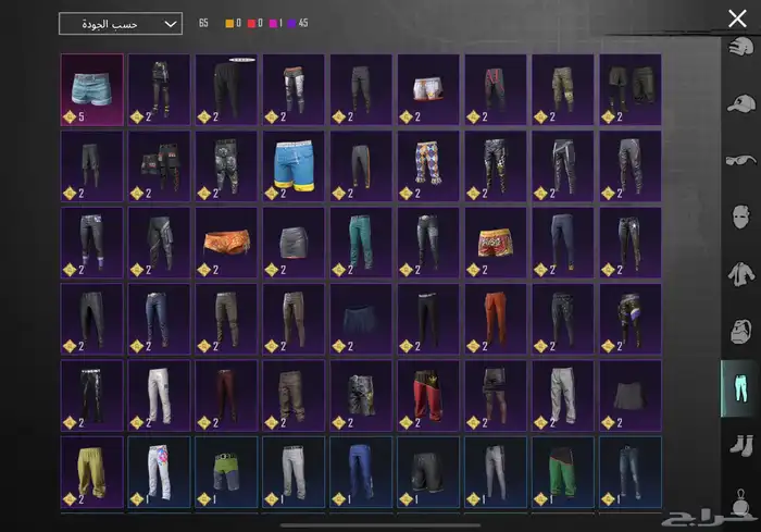 حساب ببجي نادر مستوى83 مع أسم ثلاثي عربي 13