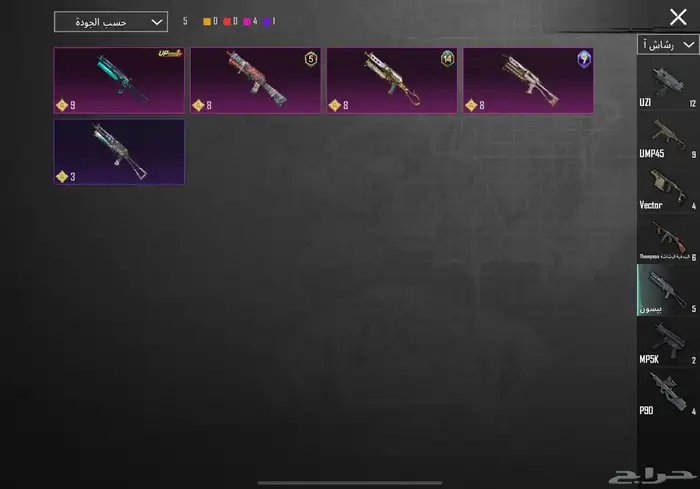 حساب ببجي نادر مستوى83 مع أسم ثلاثي عربي 51