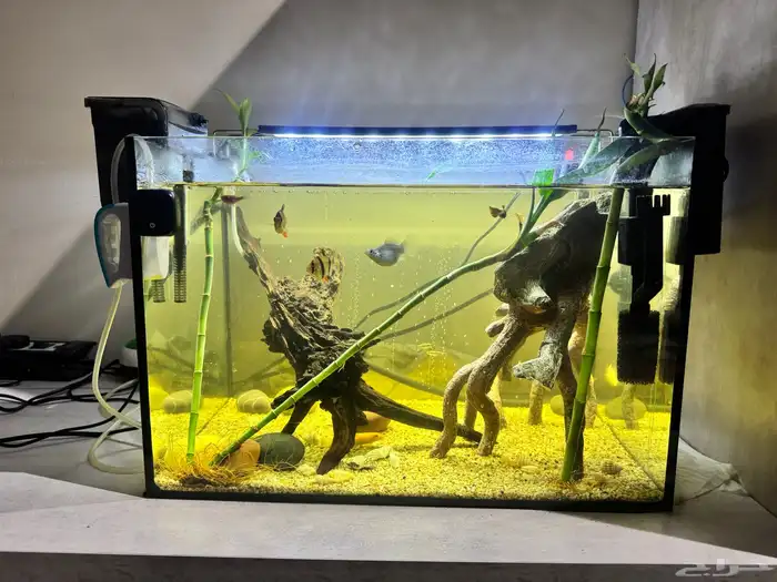 للبيع حوض سمك 0