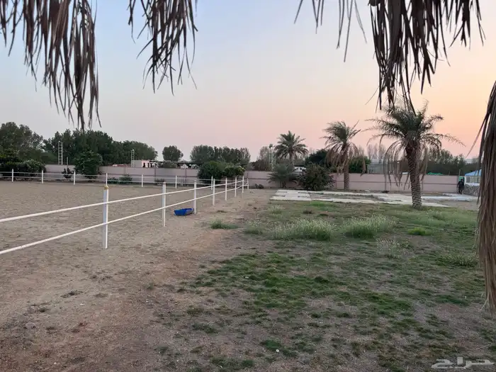 عرض ايواء غرف ايجار للخيوال 13