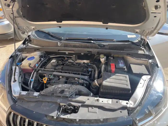 شيري اريزو 5 2024 5