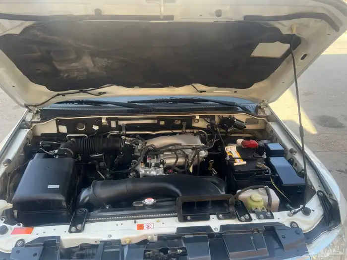 باجيرو 2016 11