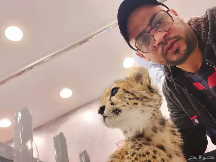 مدرب كلاب محترف بالرياض 8