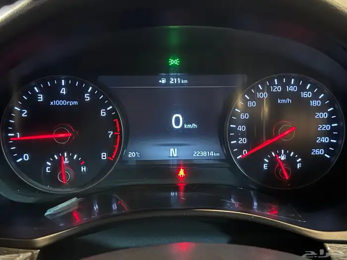 كادينزا 2017 13