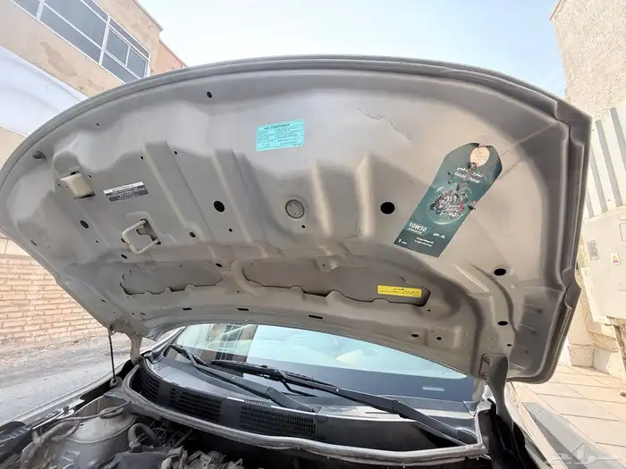 نسيان صني 2019 10