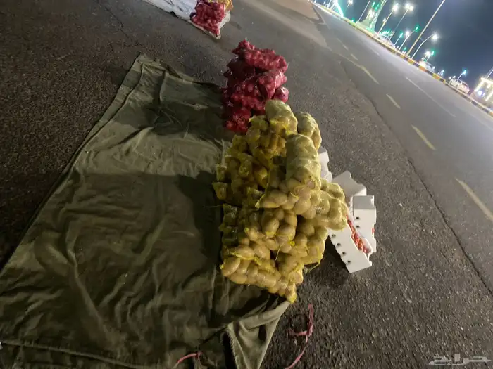 طوارق الشقق وخدمة 2