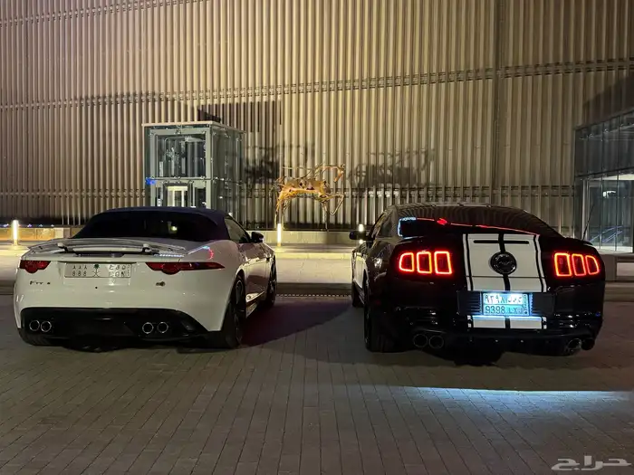 موستنيج 2013 مميز مخزن وبحالة الوكالة قيرعادي معدل كت شيلبي 1