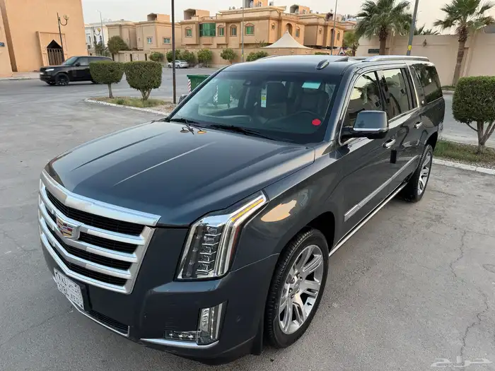 اسكاليد 2019 بريميوم (ملكي) الجميح نظيف جدا 23