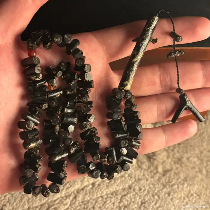 يسر البحر الاحمر طبيعي 1