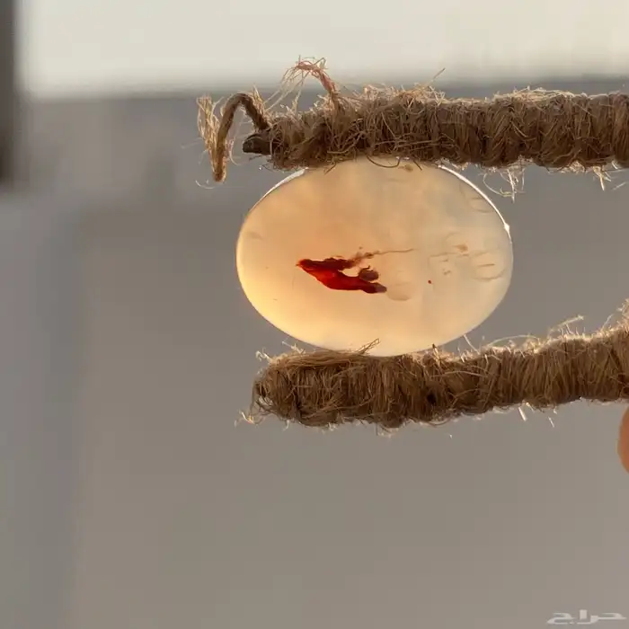 فص عقيق يماني مصور 4