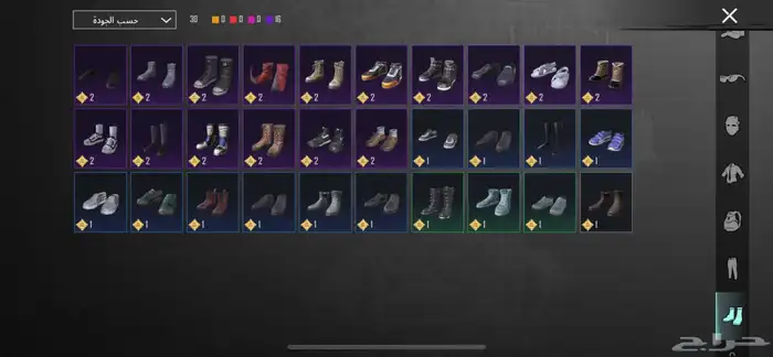 حساب ببجي نادر 24