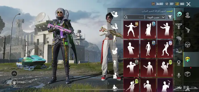 حساب ببجي نادر 11