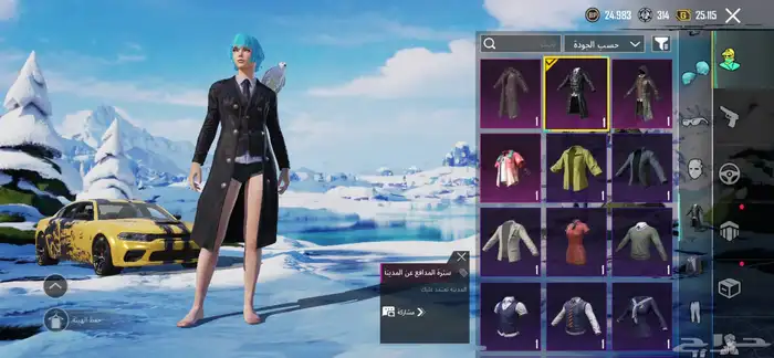 حساب ببجي 22