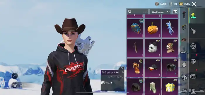 حساب ببجي 18