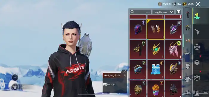 حساب ببجي 14