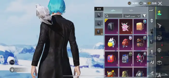 حساب ببجي 24