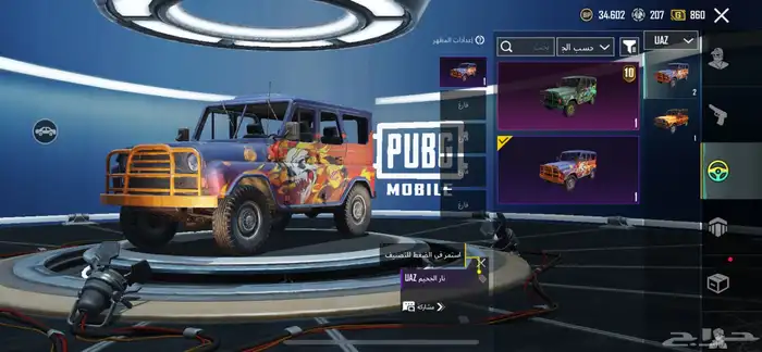 حساب ببجي نادر 17