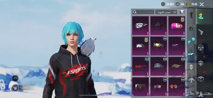 حساب ببجي 20