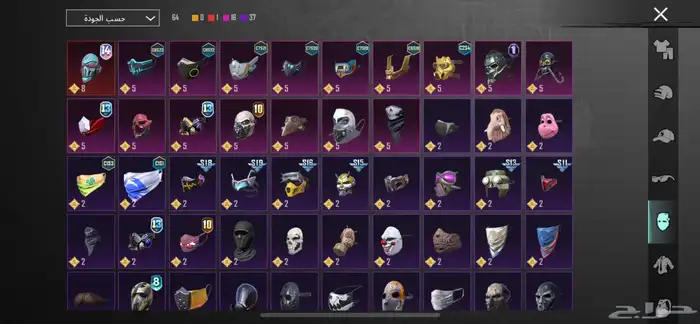 حساب ببجي نادر 31