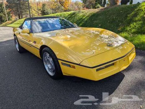 1987 Chevrolet Corvette Base 41