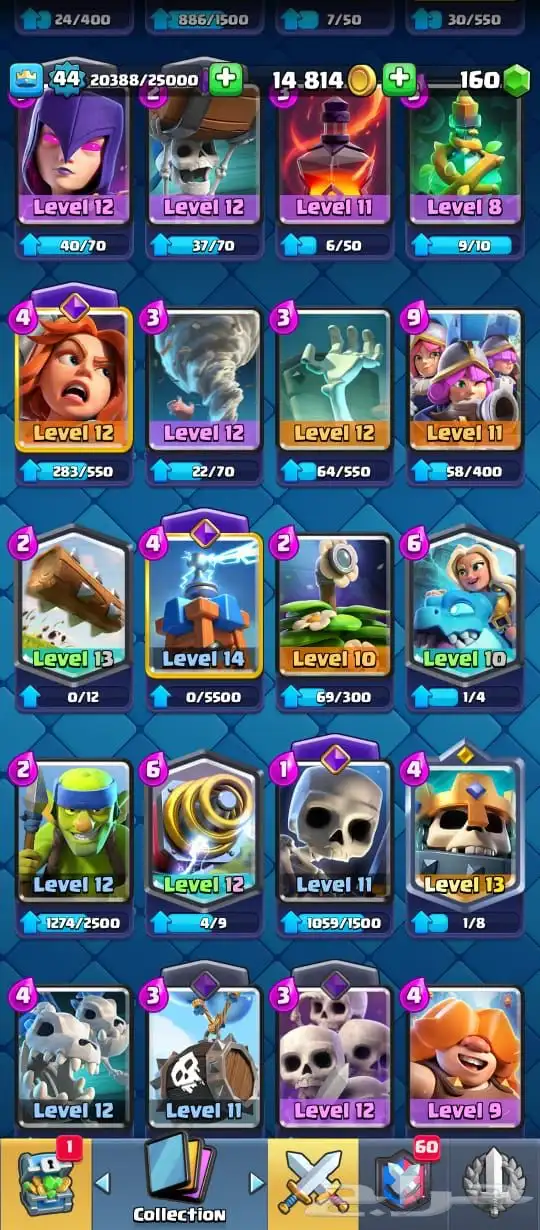 حساب كلاش رويال 14