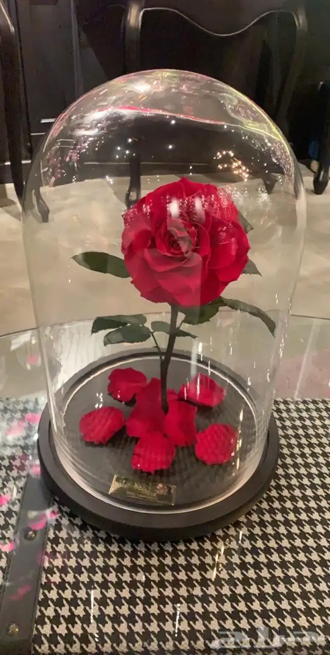 تقبيل محل ورد 36