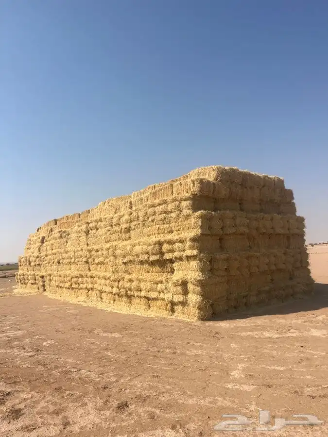 لبن تبن بر ولبن رودس 2