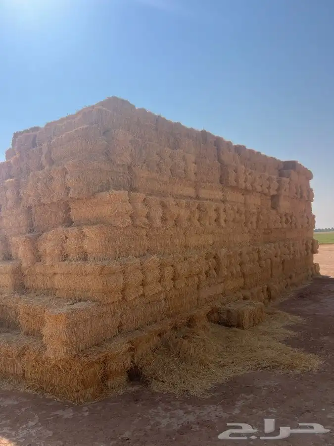 لبن تبن بر ولبن رودس 0