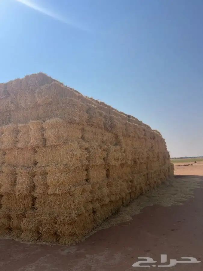 لبن تبن بر ولبن رودس 3