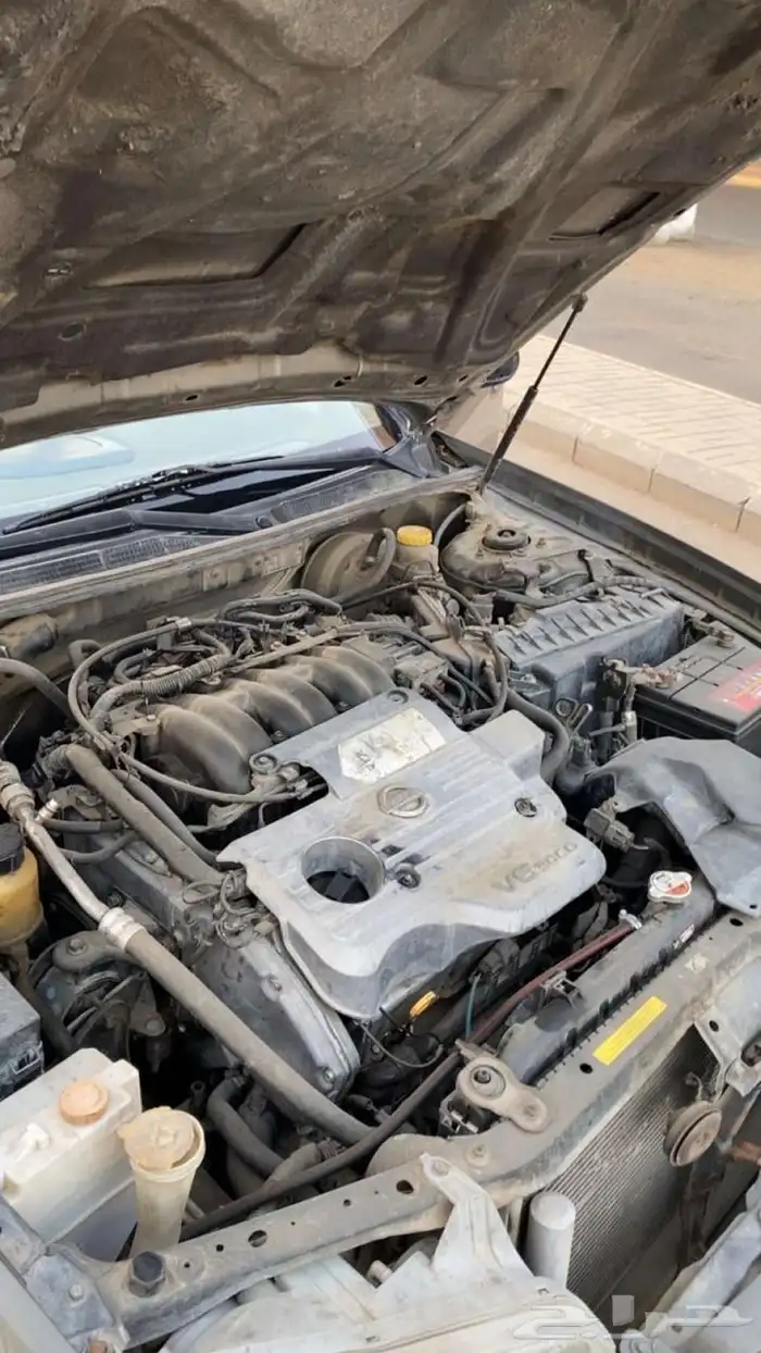 مكسيما 2008 نص فل 1