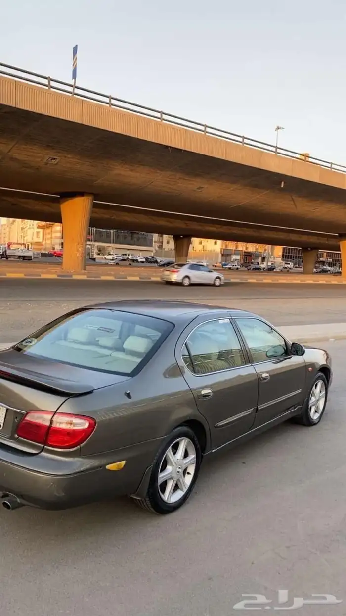 مكسيما 2008 نص فل 16