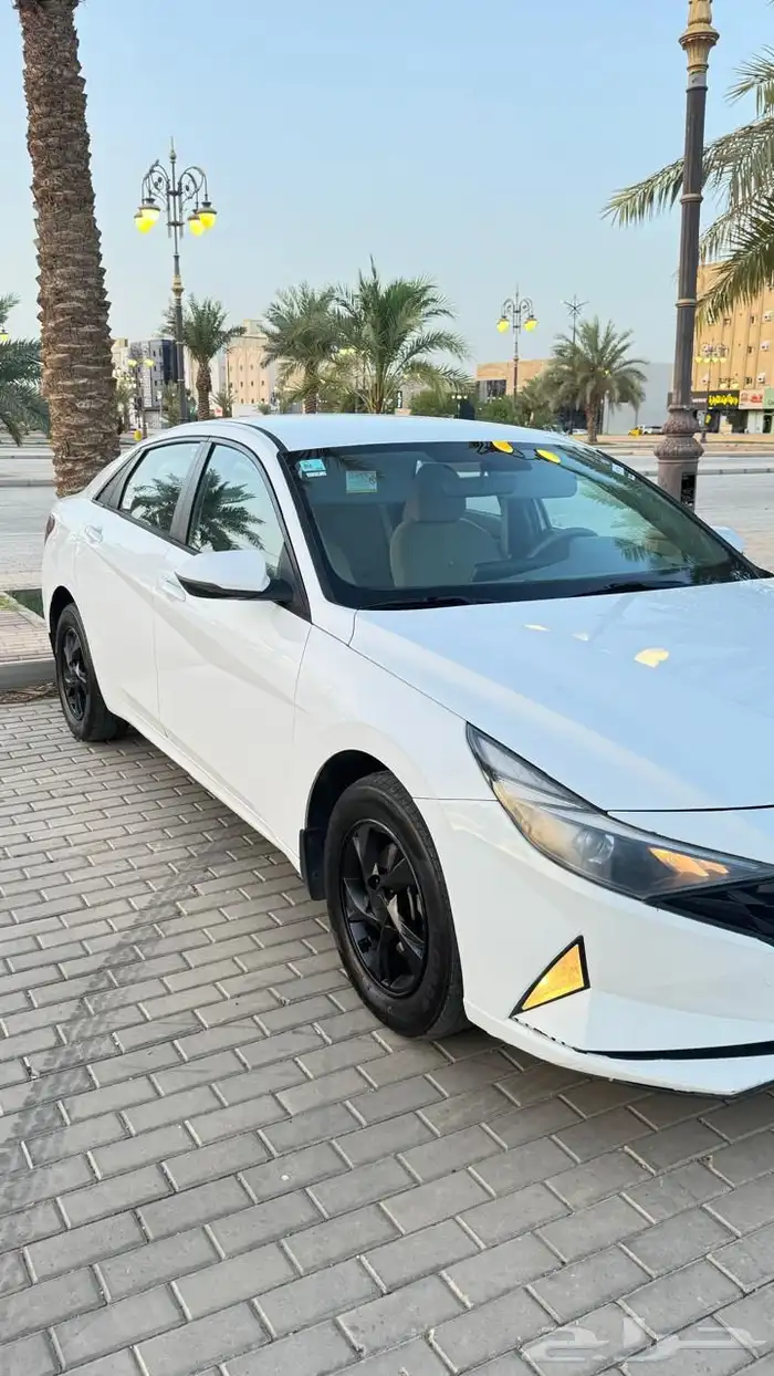 النترا 2021 ممشى 116 1