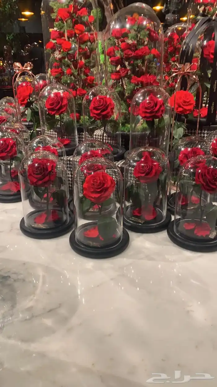 تقبيل محل ورد 35