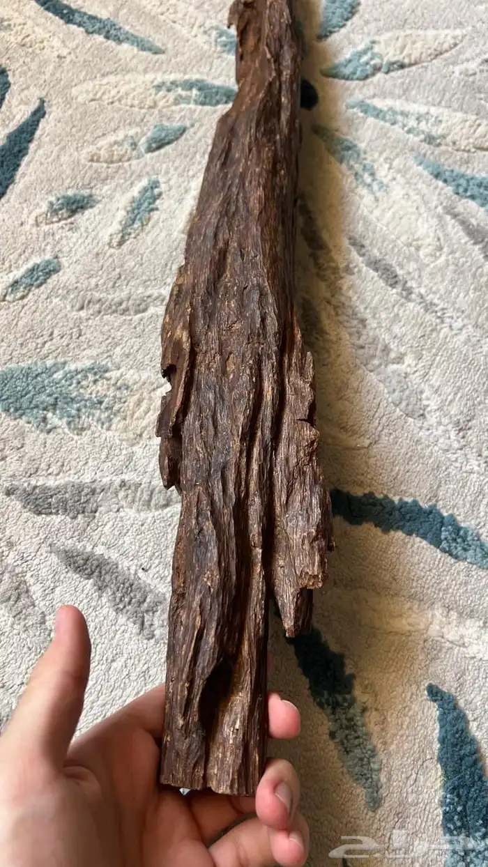 عود هندي قديم كسرتين كبيرة الوزن 600 جرام. 11