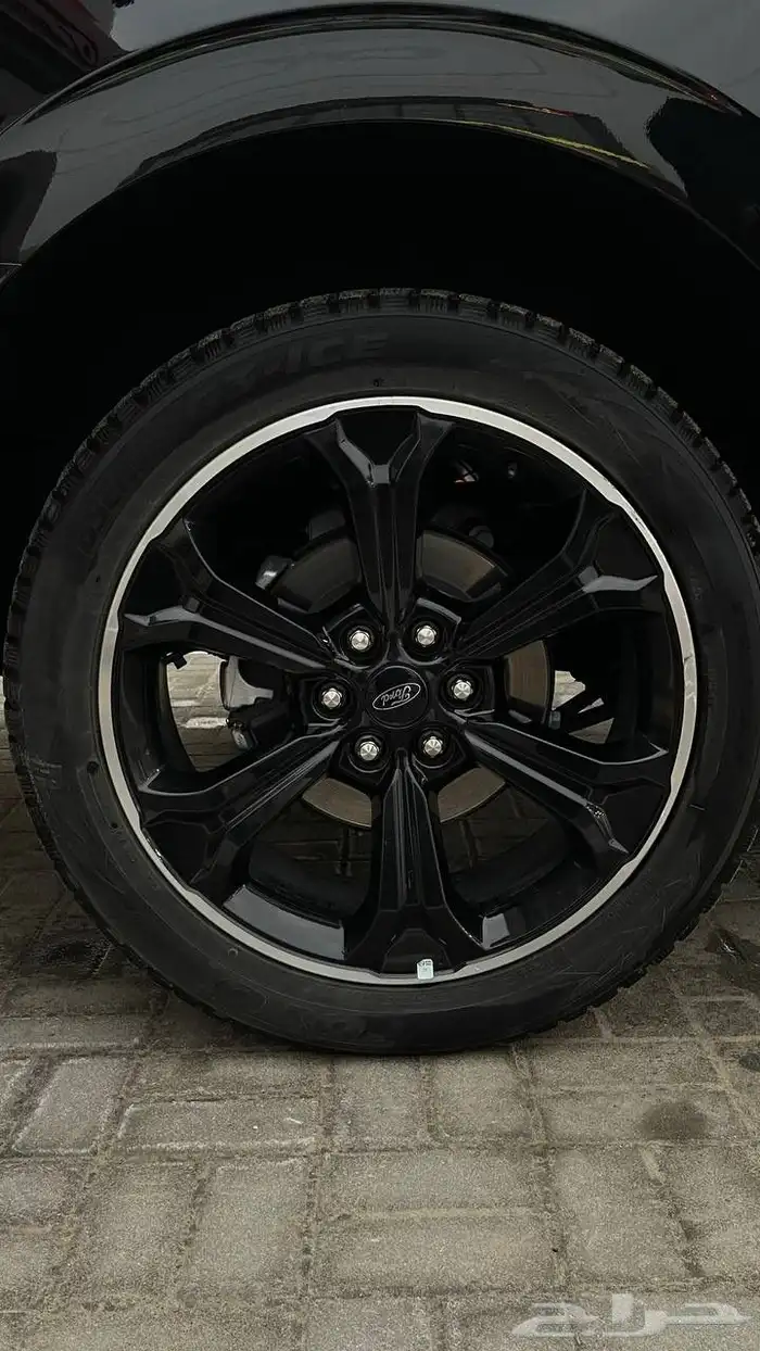 Expedition Stealth Performance edition Max 17