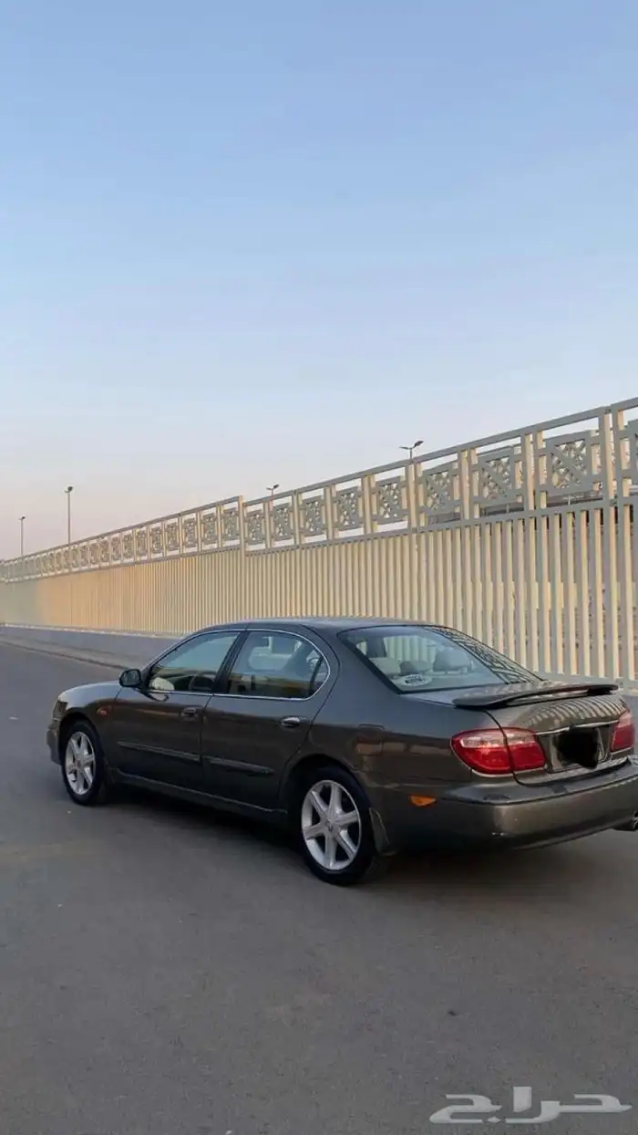 مكسيما 2008 نص فل 13