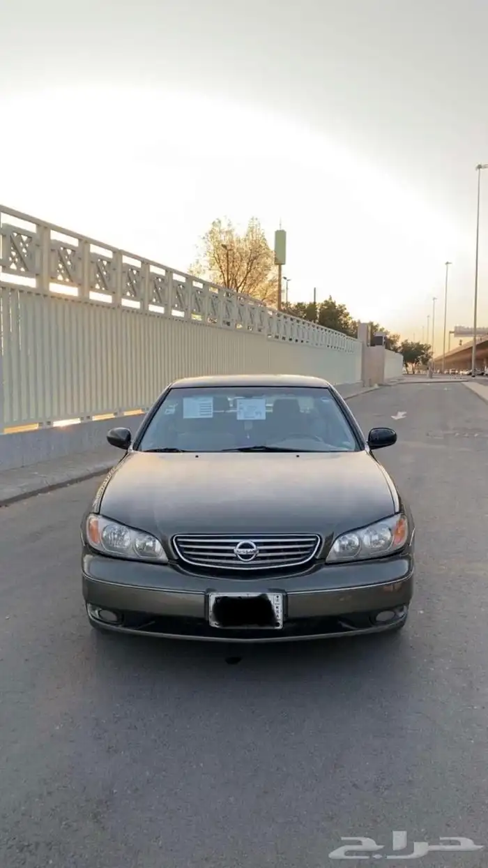 مكسيما 2008 نص فل 0