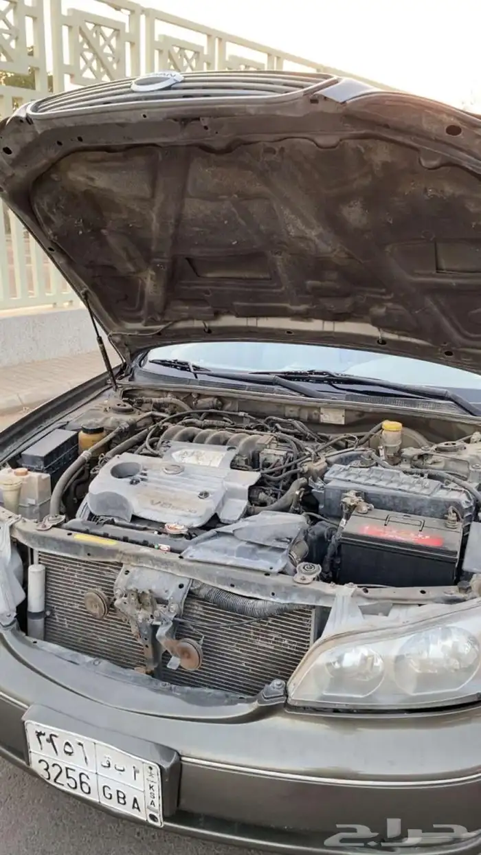 مكسيما 2008 نص فل 5