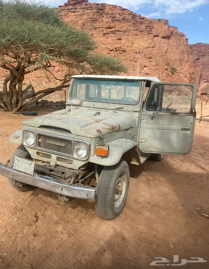 شاص 1981للبيع 3