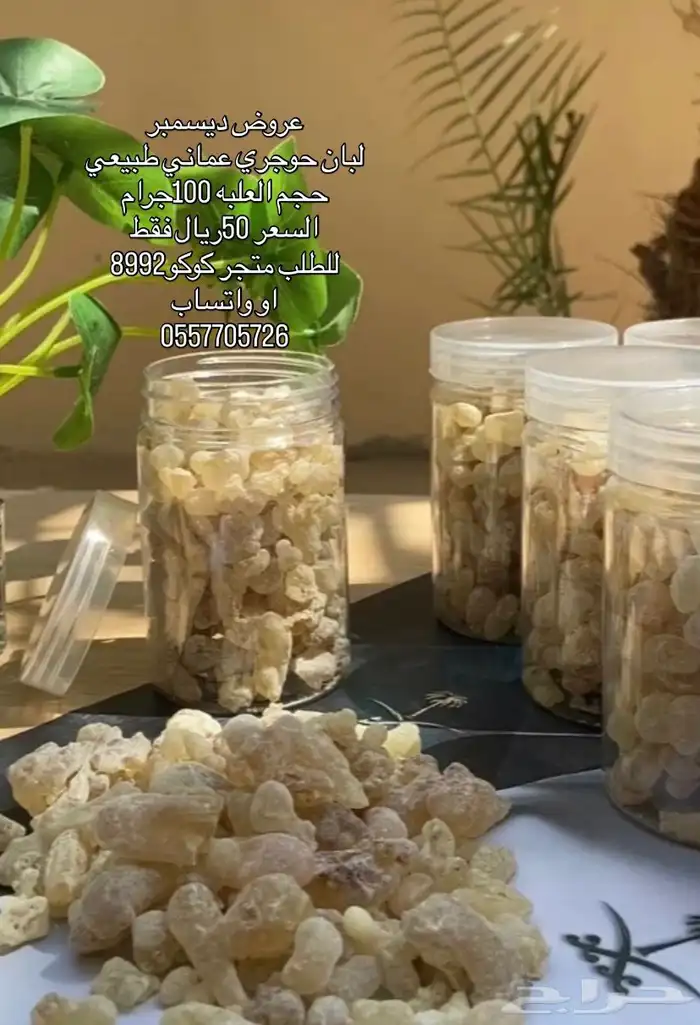 عروض نهاية العام لبان حوجري عماني 0