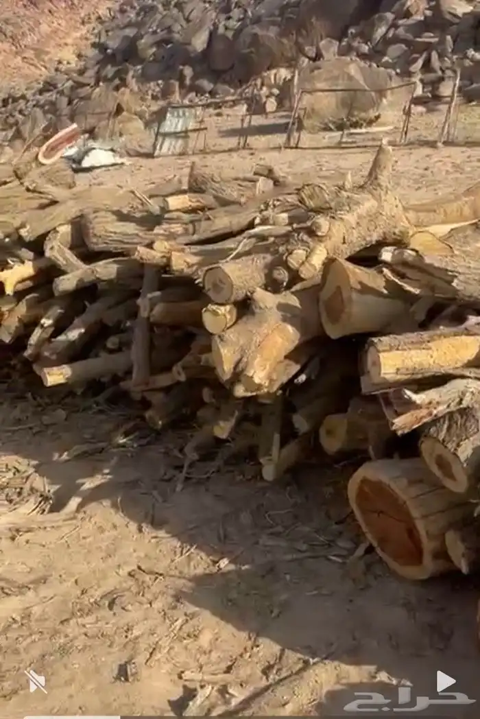 المستورد البدوي موجود تفريد حملت هلكس مسح الصندوق 0