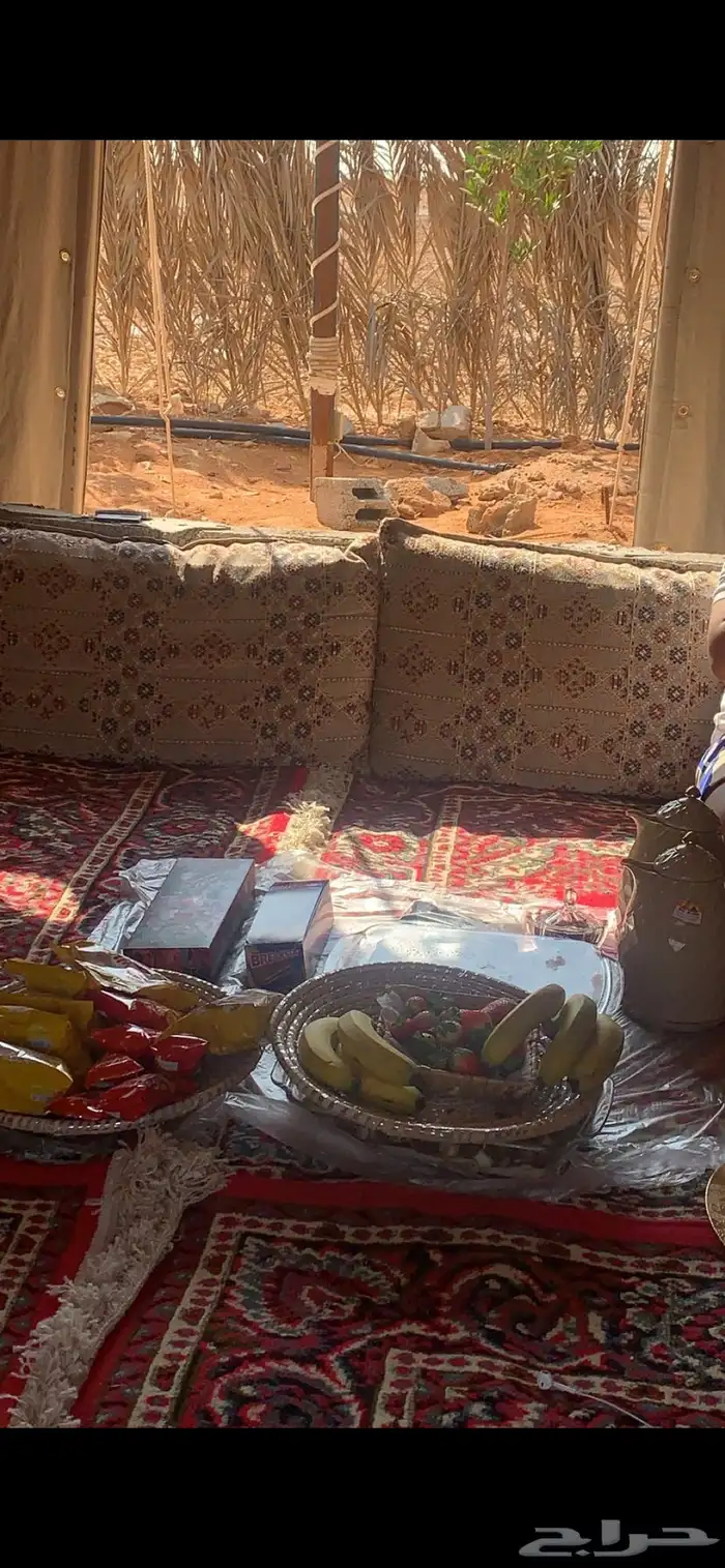 مخيم للإجار موقع مميز وهادئ وأجواء بريه 12