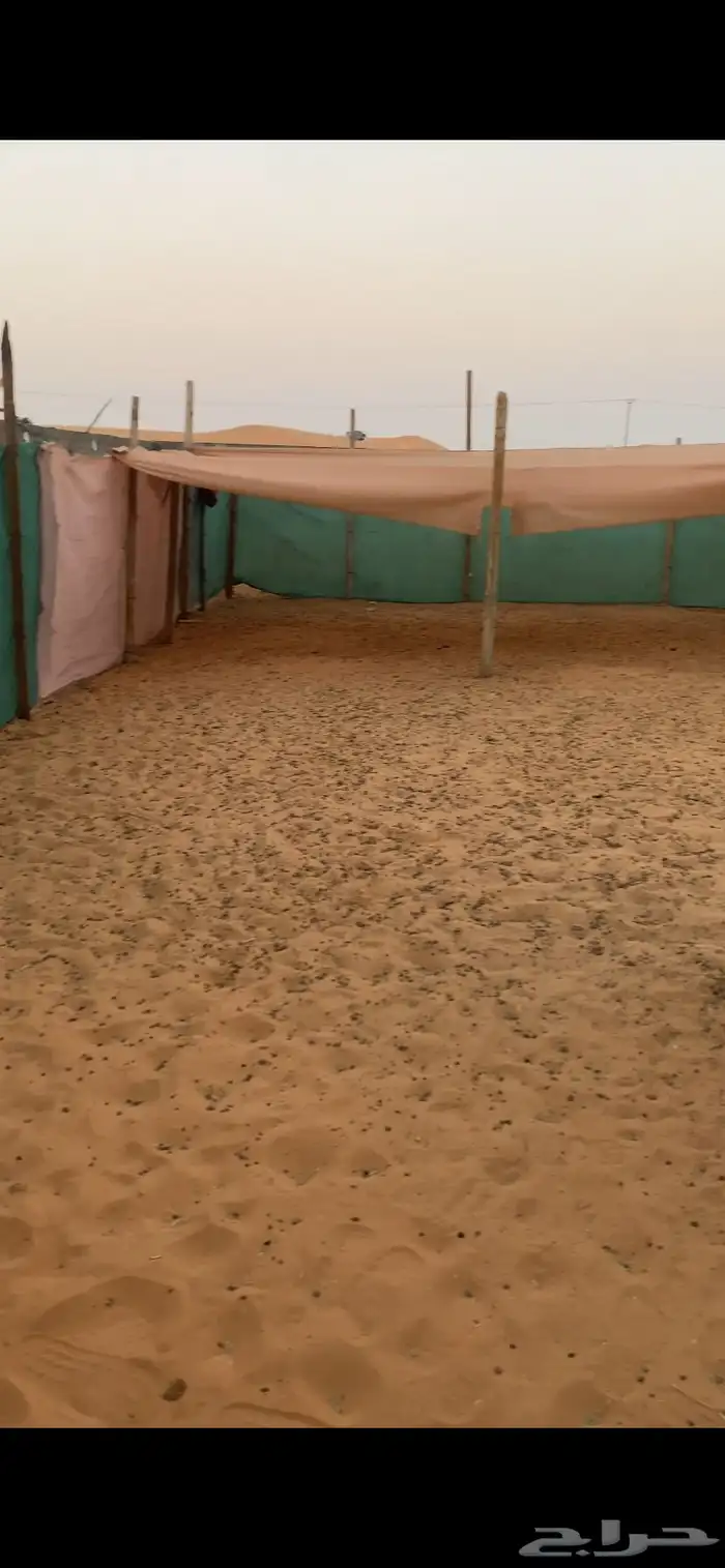 حوشين للحلال للاجار الرحمانيه الهياثم الخرج 4