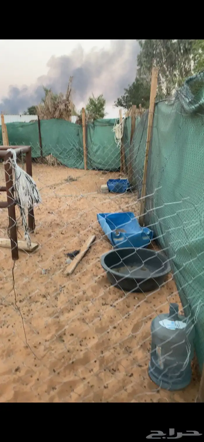 حوشين للحلال للاجار الرحمانيه الهياثم الخرج 2