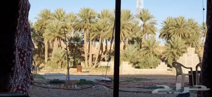 مزرعه ايجار يومي التفصيل الكيلو مترات مو موجوده فسه مساحه 2